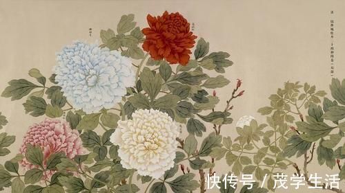 文赋|阚姓大全:出水芙蓉的女宝宝名,让人一见倾心