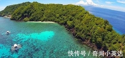 10条趣味冷知识，好玩又奇怪，我们大部分人其实比猪胖