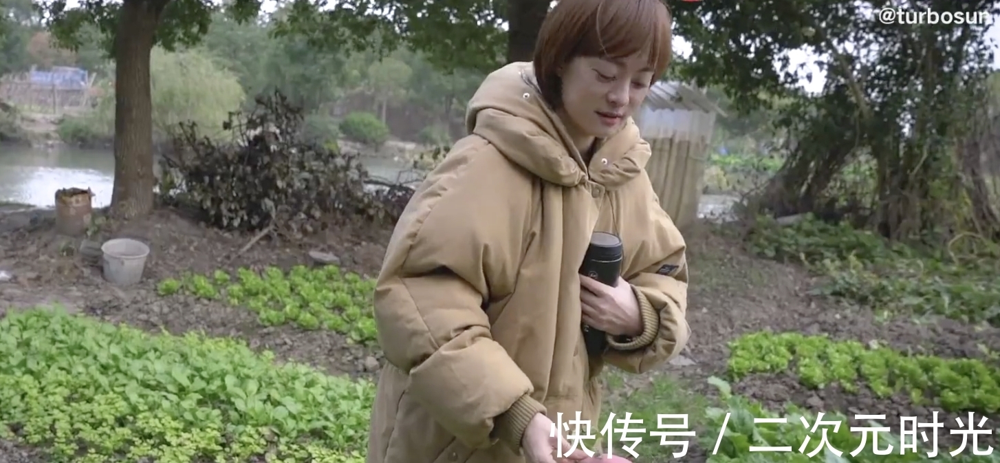 不小心拔农户萝卜,站在菜园里慌张又愧疚