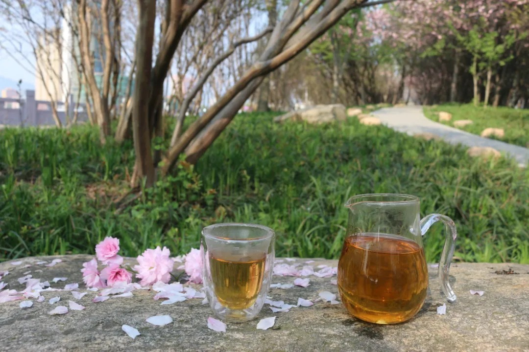 冲泡桐柏红茶的三个技巧你学会了吗