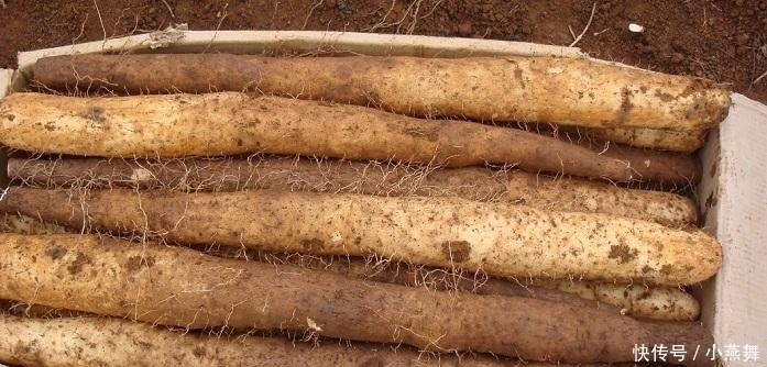 等于|严重警告山药和它天生“相克”,同吃等于“慢性服毒”,赶紧告诉家里人