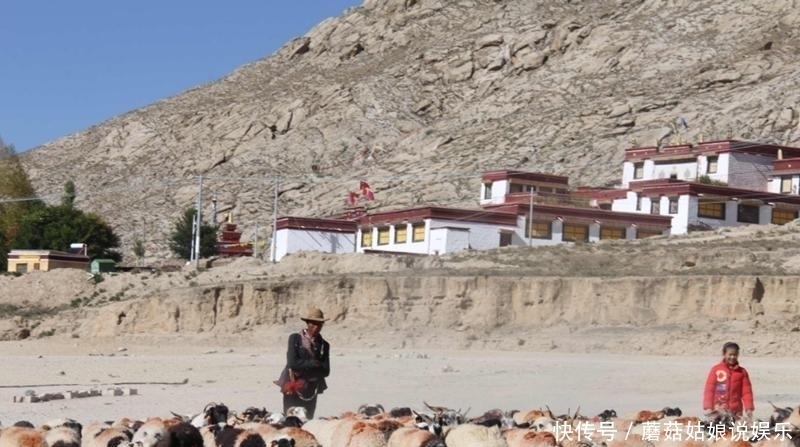 娃坑|放羊娃坑中救羊,发现10亿黄金宝藏,村民哄抢专家劝其上交