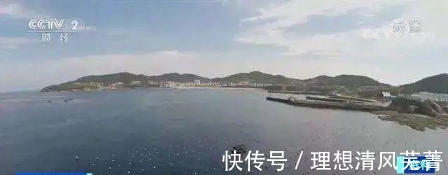 |讲个笑话汤加火山一喷发,獐子岛赢麻了!