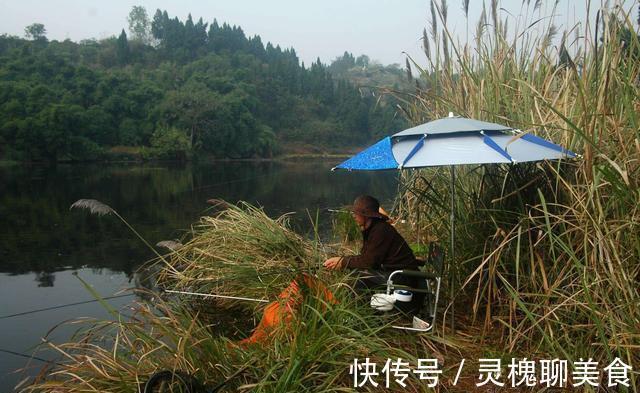 为了让窝里的底层鱼接触到钓饵，我找到了一个简单的方法