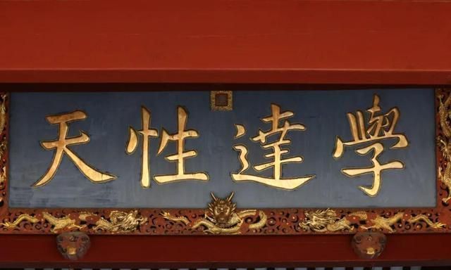 心得!学习心得|人生是一场觉醒的历程