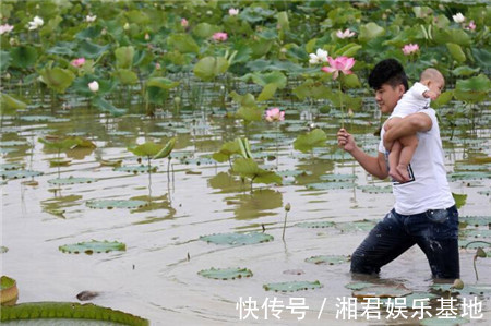 宝宝|男子将宝宝放在荷叶上,随后发生的事,让路人难以接受