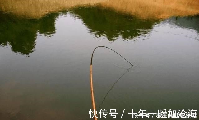 想要钓大鱼不爆竿，就别只盯着鱼竿顶钓拉力值，调性才是最关键的