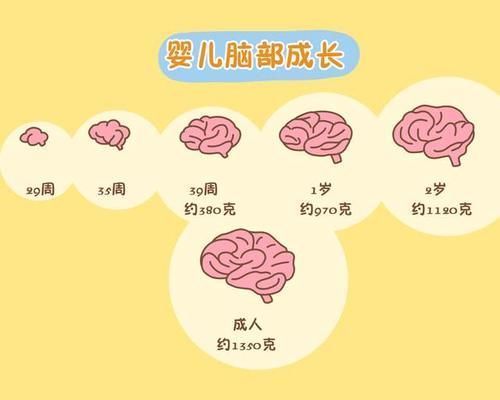 神经元|孩子三岁以前,经常受以下几种刺激,智力可能已经赢在了起跑线上