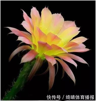 西红柿|“大姨妈”出现3个信号,可能是快绝经了,别当成妇科疾病