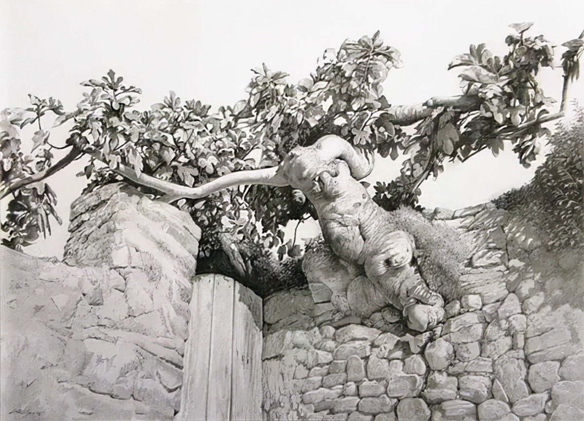 卡洛斯&写实微调的素描风景,艺术家Carlos Castillo Seas作品真是绝了!