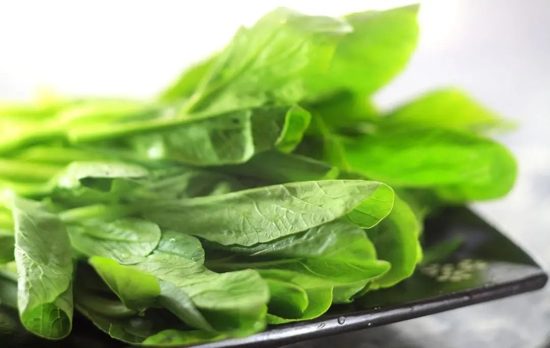 饭菜|不用隔夜！剩饭菜放置超过这个时间最好别给孩子吃