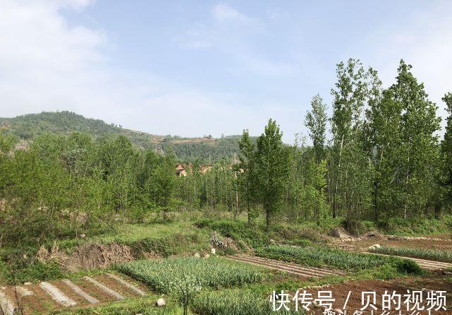 夫妻|俗语：“过了夏至节，夫妻各自歇”，为啥夏至过后，夫妻要各自歇