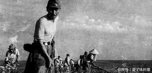 东北|十万日军在东北疯狂挖宝, 挖了一千米, 为首的却突然流泪剖腹谢罪！