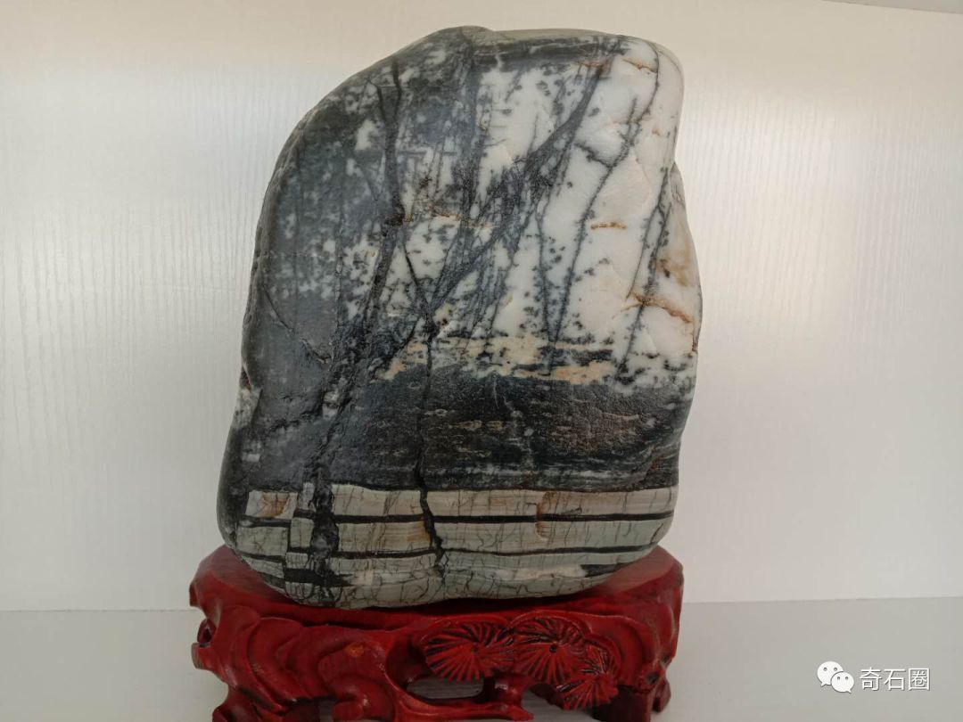 石头|金沙江边的康巴汉子捡了8年石头,摆满了一屋