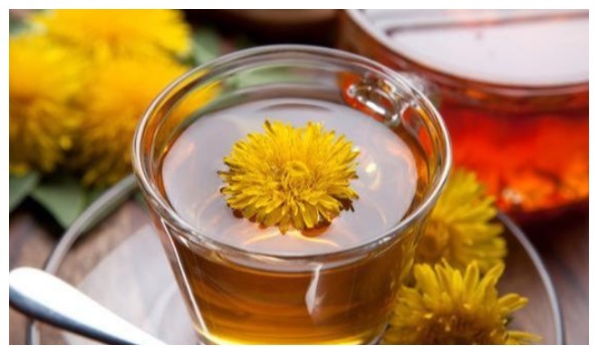 蒲公英泡水|34岁女子查出“乳腺结节”,坚持喝蒲公英来调节,后来怎么样了