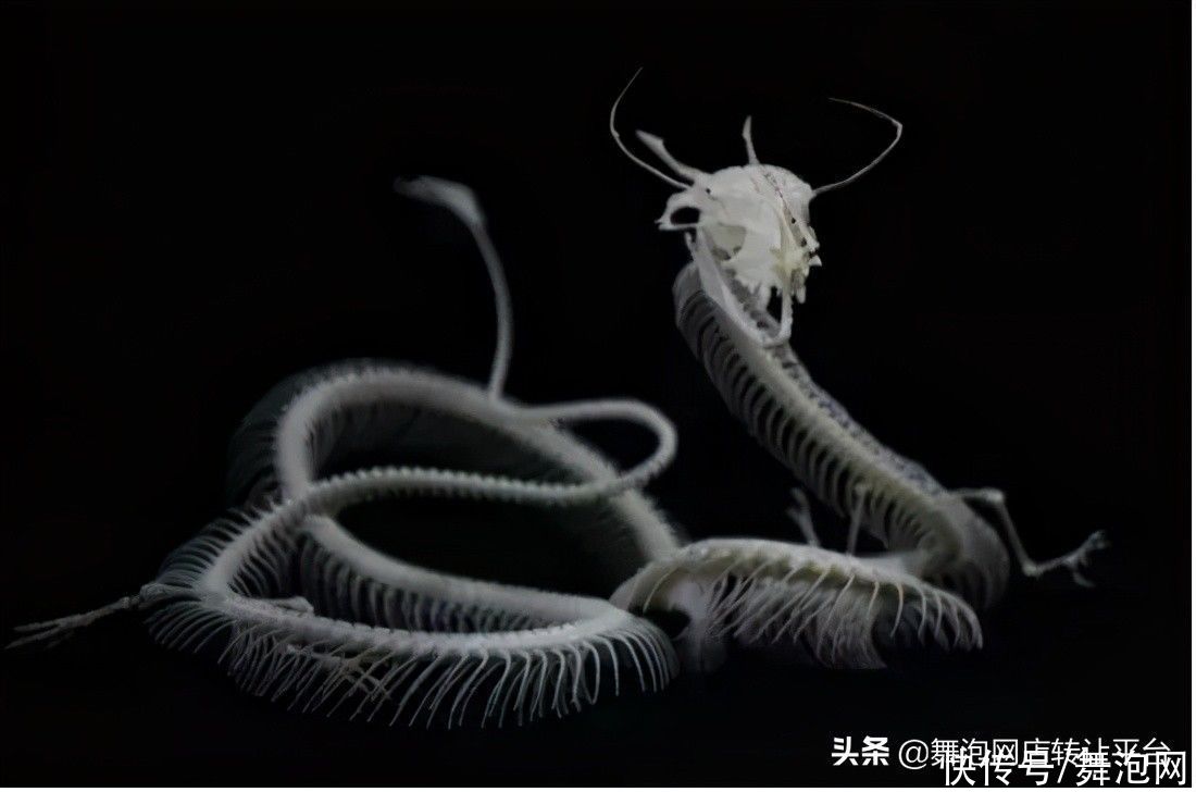 造物节|造物节第6年，淘宝在想什么？