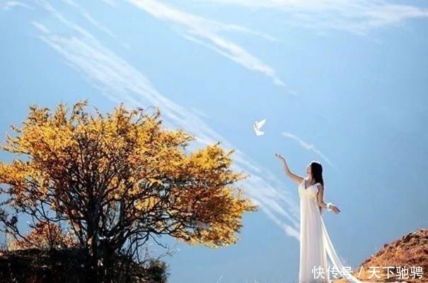 许涛|真正有教养的人,有这几个特征,值得深交