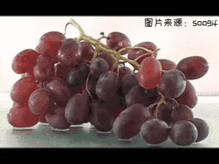 没有它，我会死