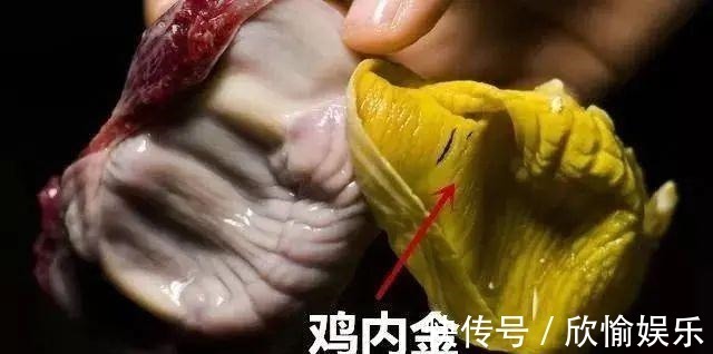黄芪|经络堵则百病生！经络不通，试试这个方法，有寒去寒，祛湿化瘀！