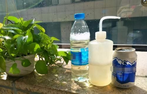 怎么合理使用这几样“水”浇花，实现去其糟粕？