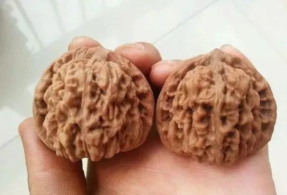 阶段名称|文玩核桃包浆挂磁时间对照表 最后亮了!