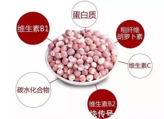 神农本草经|1种果子“婴儿食之不老,老人食之延年”,肿瘤专家如此吃更好