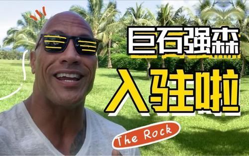 入驻|B站又亏损了,请那么多明星入驻,发一个视频就没声了,不亏才怪