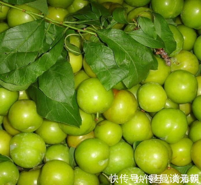 氨基酸|聪明的女人最爱吃此果,能美容去斑,促进消化,女人最该吃