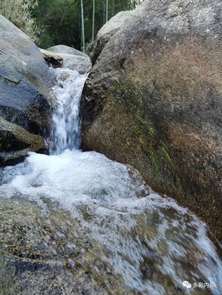 生态|喝着山泉水长大的内良高山稻米，认识一下