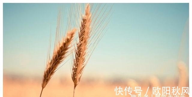 生肖狗|接下来的7天，缘分桃花再次相聚，遇到真爱的生肖