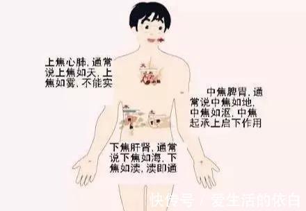 疑难杂症|搞懂了人体的“三焦”,所有疑难杂症,都可迎刃而解,建议收藏!