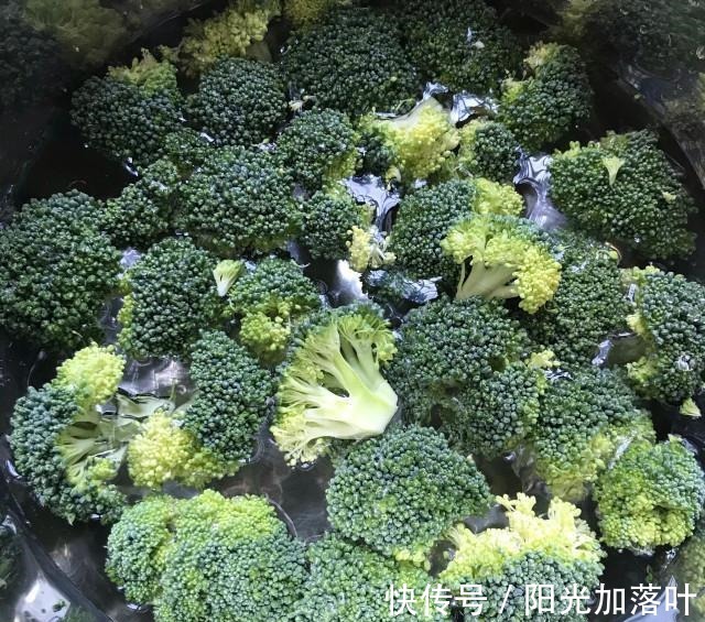 低脂|白灼西兰花,简单快手,低脂健康!