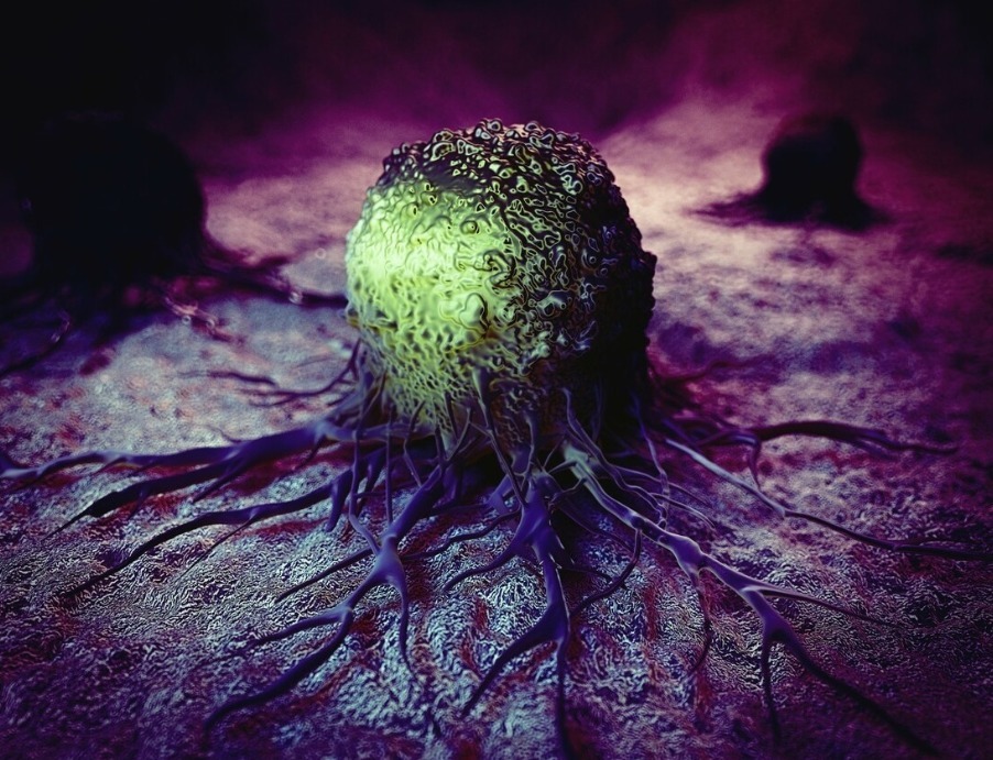 蔓越莓|57岁大叔身患胃癌,半年后复查,癌细胞消失了,究竟怎么回事