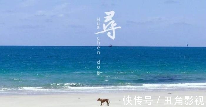 斗牛士|创作鬼才华晨宇的音乐灵感:带你揭秘歌王的创作秘籍