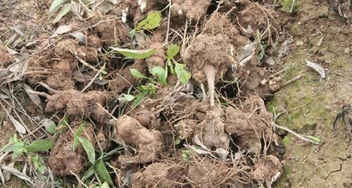 夏天|可御可甜的小姐姐,清凉穿搭多种吊带连衣裙,第二款最显魅力十足