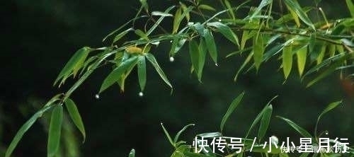 杨万里$清风明月正宜人,足以慰风尘,七首唯美宋诗,忘却烦恼只留星辰