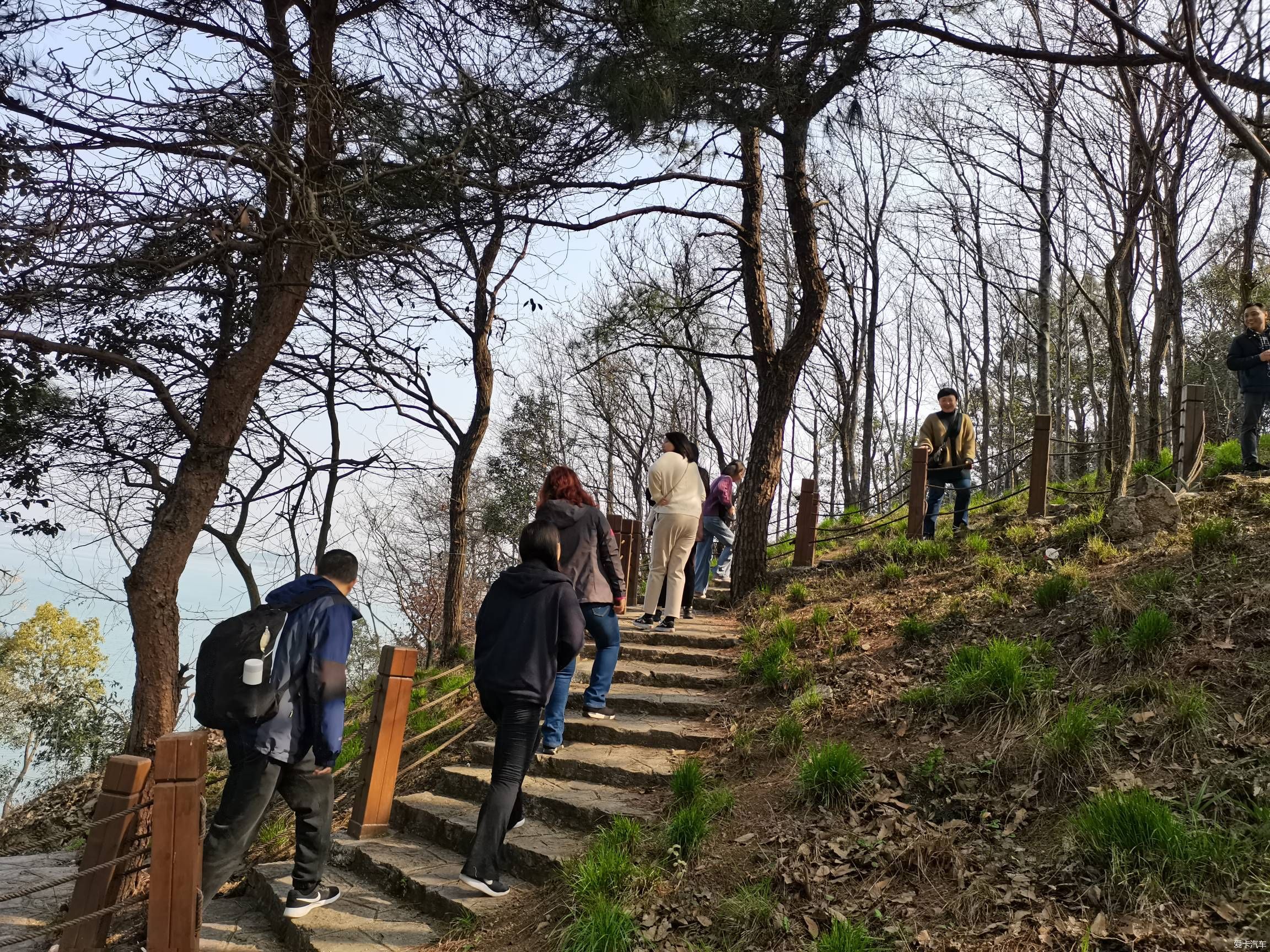 情人节逛森林公园