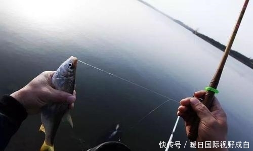 决定子线长短的原则!