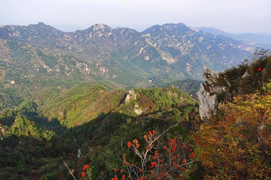 出行指南|叮！春节游山东，这份出行指南请查收