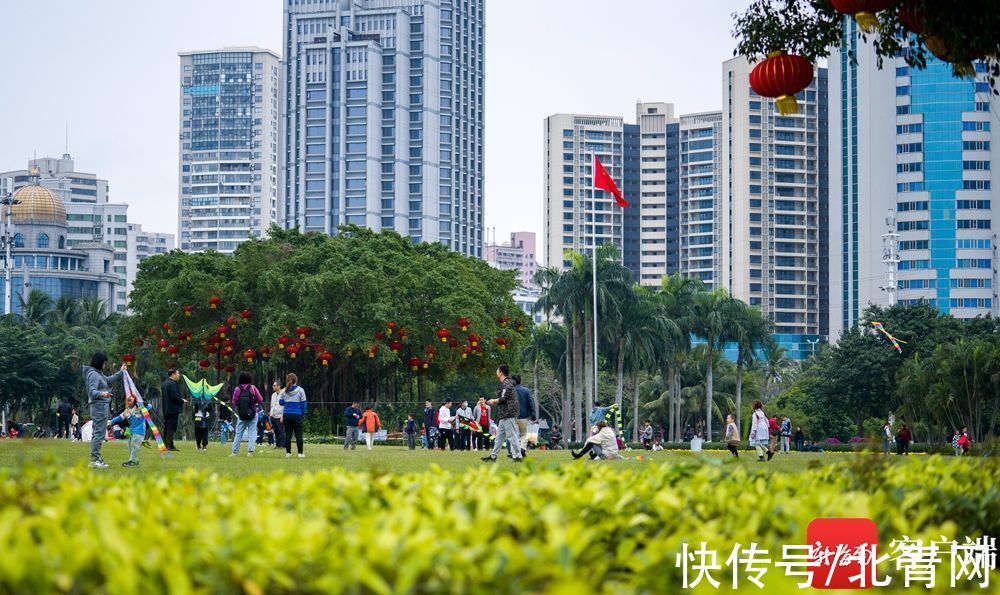 海口万绿园：喜上枝头春意闹 立春时节踏青欢|组图 | 海口市