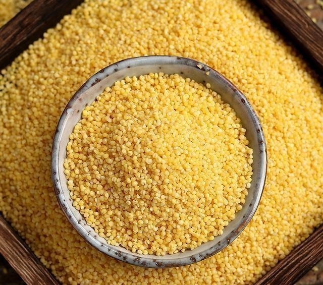 熬小米粥,切记不可只加清水,多加这一步,黏稠好喝不溢锅,真香