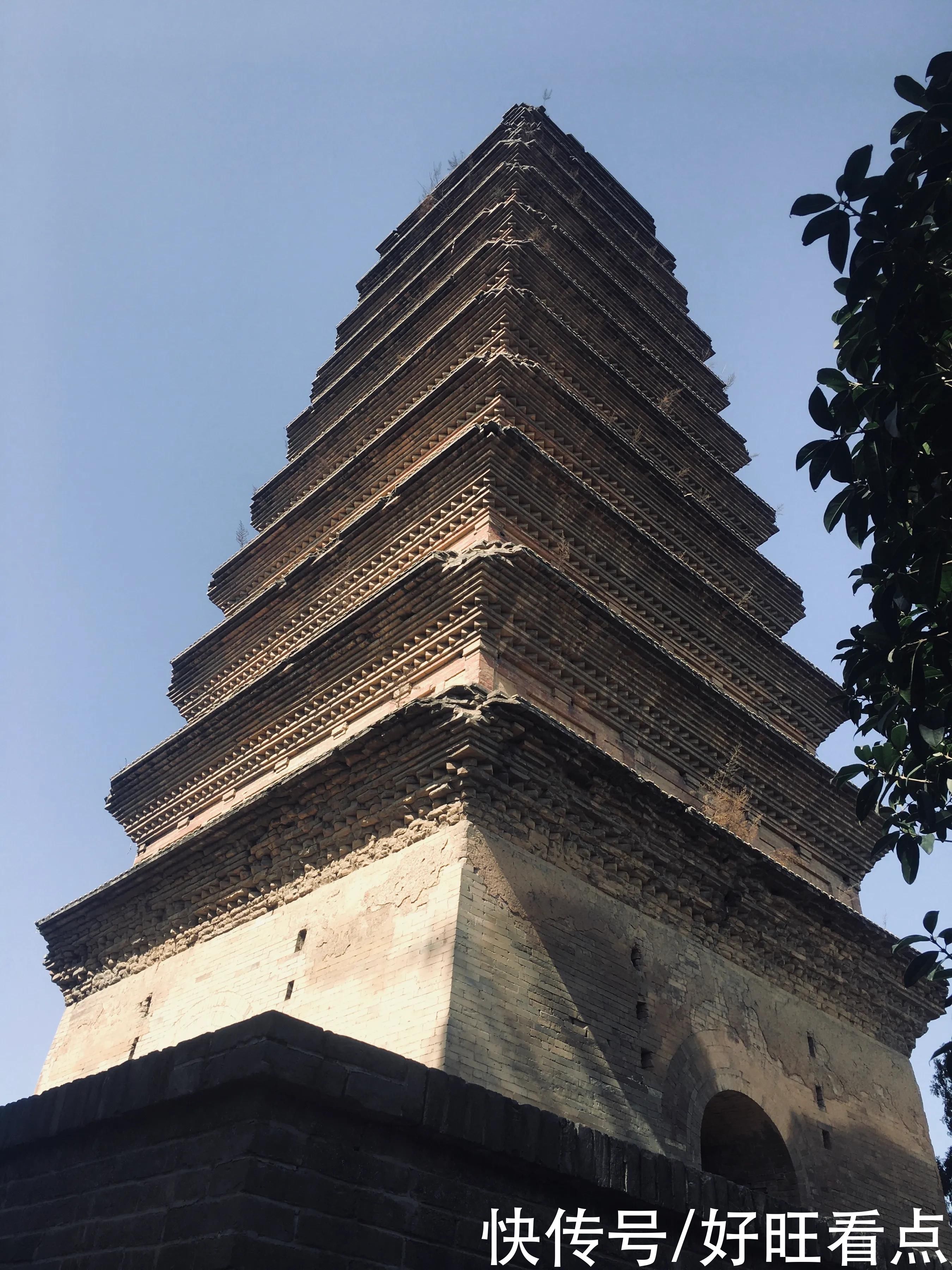 老年|古城西安香积寺：初春美景醉游人