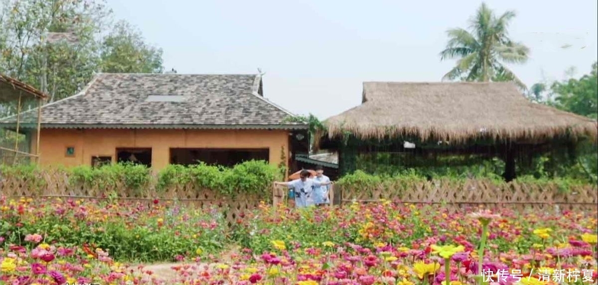 《向往的生活5》开始录制,新一季的蘑菇屋,还会和第四季一样吗