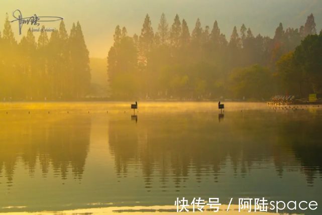 杭州|西湖的一个角落在清晨宛若仙境，它是冬天才有的风景