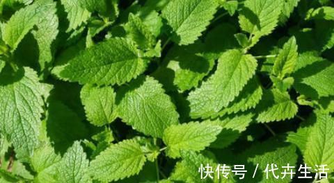 艼灵芝|专家提醒：60岁以上老年人，睡眠时间得满足这个数，一定要把握好