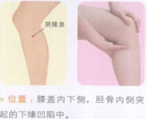 阴陵泉穴|每天坚持按摩这几个穴位几分钟,有效排出体内湿寒之气,美容瘦身