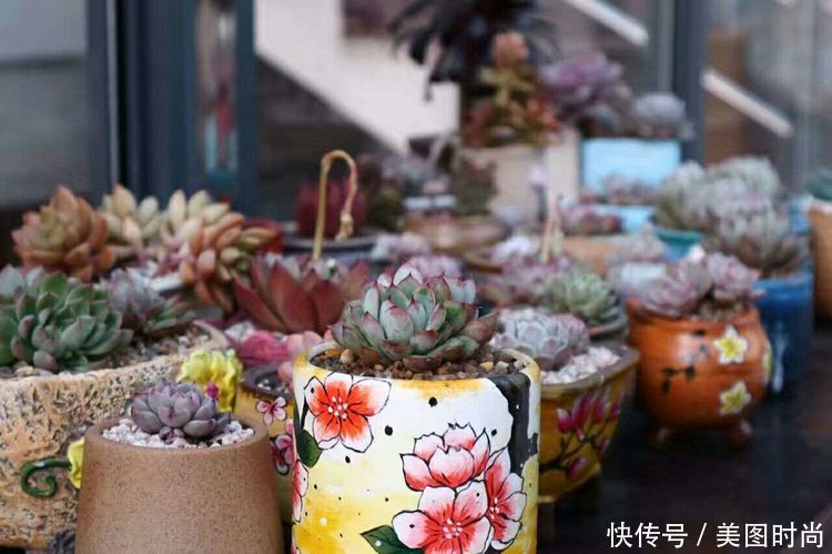 洋房|为了可以养花,我建了座小洋房,终于可以打造梦寐以求的花园了