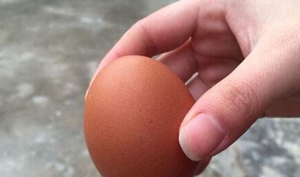 药用价值|早晨起来吃个鸡蛋,身体不会差,但需注意3不,别为家人健康买单
