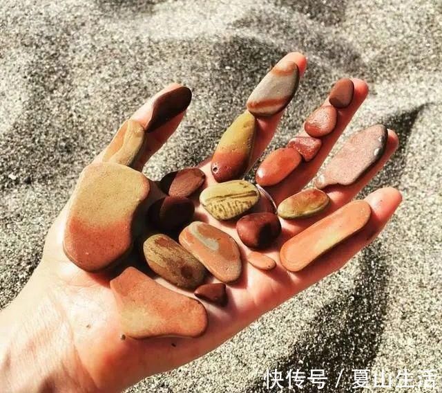 照片&这些照片巧妙得非常艺术,处女座看了很过瘾,连蛇也有“强迫症”