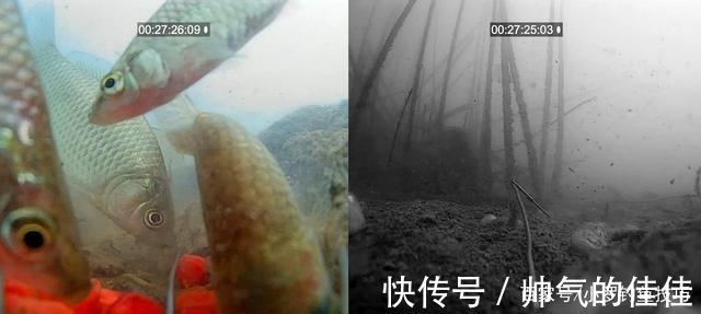 初冬季节,白天好钓鱼还是晚上好钓鱼